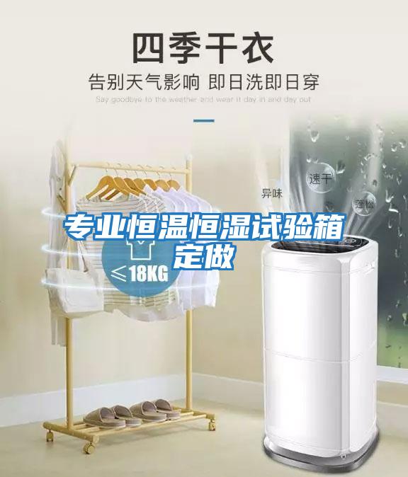 專(zhuān)業(yè)恒溫恒濕試驗箱定做