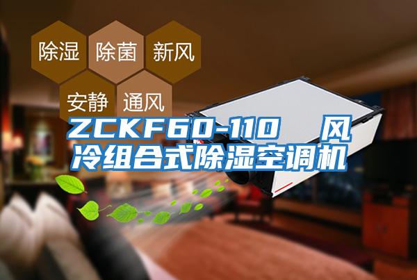 ZCKF60-110  風(fēng)冷組合式除濕空調機