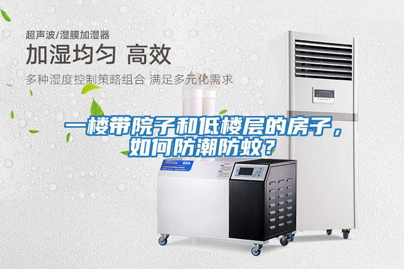 一樓帶院子和低樓層的房子，如何防潮防蚊？