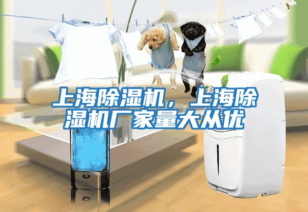 上海除濕機，上海除濕機廠(chǎng)家量大從優(yōu)