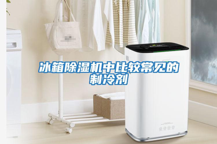冰箱除濕機中比較常見(jiàn)的制冷劑