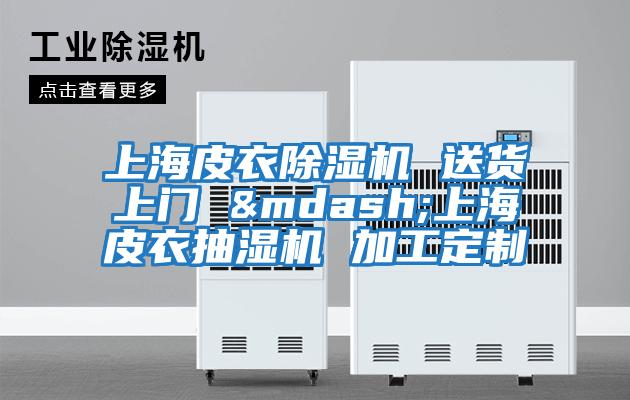 上海皮衣除濕機 送貨上門(mén) &mdash;上海皮衣抽濕機 加工定制