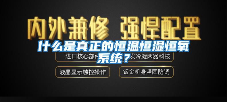 什么是真正的恒溫恒濕恒氧系統？