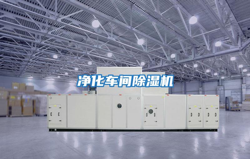 凈化車(chē)間除濕機
