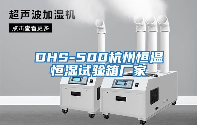 DHS-500杭州恒溫恒濕試驗箱廠(chǎng)家