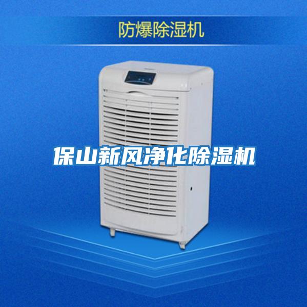 保山新風(fēng)凈化除濕機