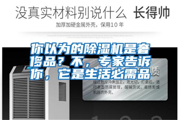 你以為的除濕機是奢侈品？不，專(zhuān)家告訴你，它是生活必需品
