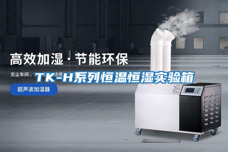 TK-H系列恒溫恒濕實(shí)驗箱