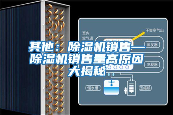 其他：除濕機銷(xiāo)售—除濕機銷(xiāo)售量高原因大揭秘