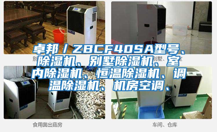 卓邦／ZBCF40SA型號、除濕機、別墅除濕機、室內除濕機、恒溫除濕機、調溫除濕機、機房空調、