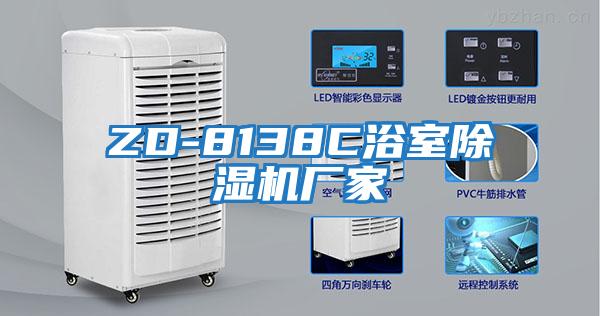 ZD-8138C浴室除濕機廠(chǎng)家