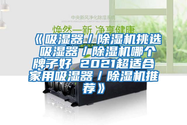 《吸濕器／除濕機挑選 吸濕器／除濕機哪個(gè)牌子好 2021超適合家用吸濕器／除濕機推薦》