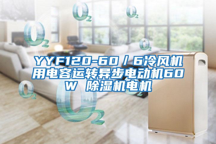 YYF120-60／6冷風(fēng)機用電容運轉異步電動(dòng)機60W 除濕機電機