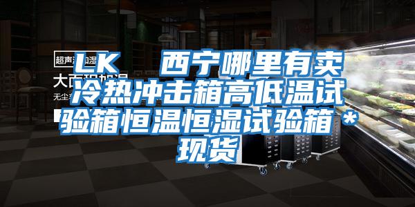 LK  西寧哪里有賣(mài)冷熱沖擊箱高低溫試驗箱恒溫恒濕試驗箱＊現貨