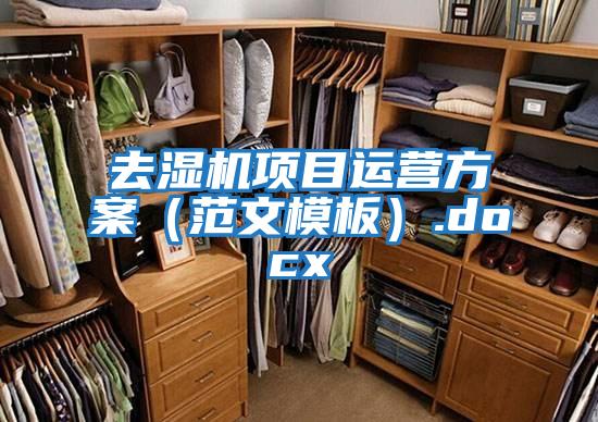 去濕機項目運營(yíng)方案（范文模板）.docx