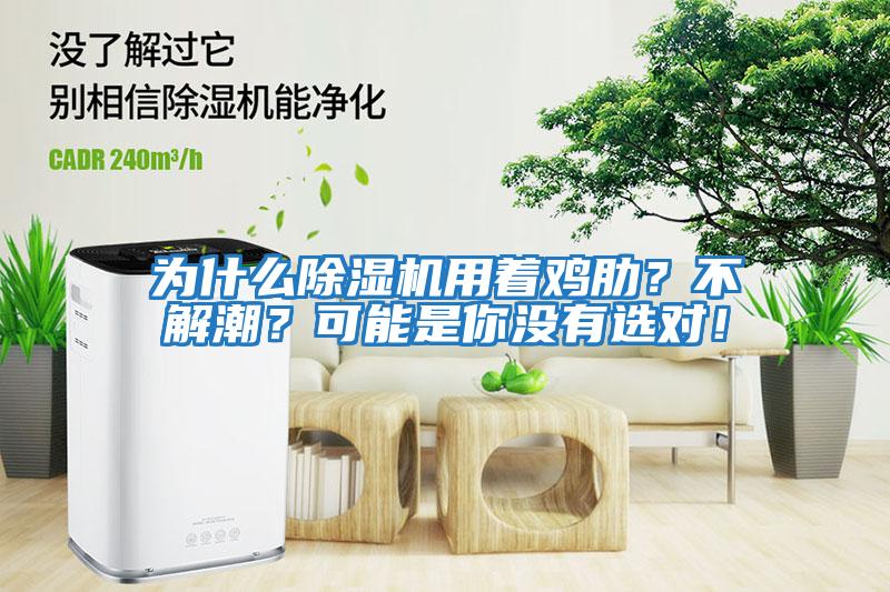 為什么除濕機用著(zhù)雞肋？不解潮？可能是你沒(méi)有選對！
