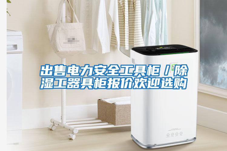 出售電力安全工具柜／除濕工器具柜報價(jià)歡迎選購