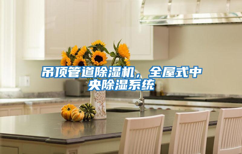 吊頂管道除濕機，全屋式中央除濕系統
