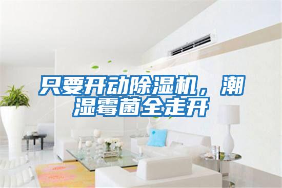 只要開(kāi)動(dòng)除濕機，潮濕霉菌全走開(kāi)