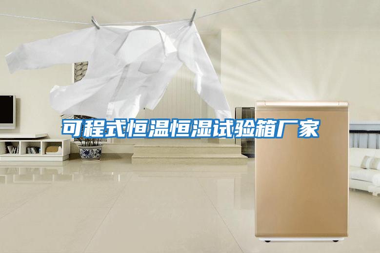 可程式恒溫恒濕試驗箱廠(chǎng)家