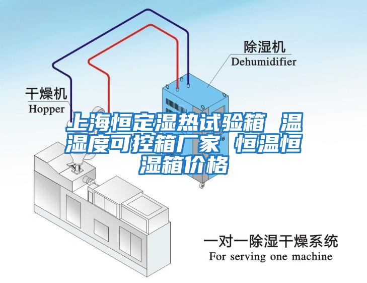 上海恒定濕熱試驗箱 溫濕度可控箱廠(chǎng)家 恒溫恒濕箱價(jià)格