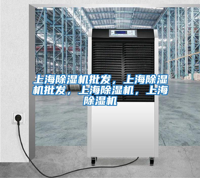 上海除濕機批發(fā)，上海除濕機批發(fā)，上海除濕機，上海除濕機
