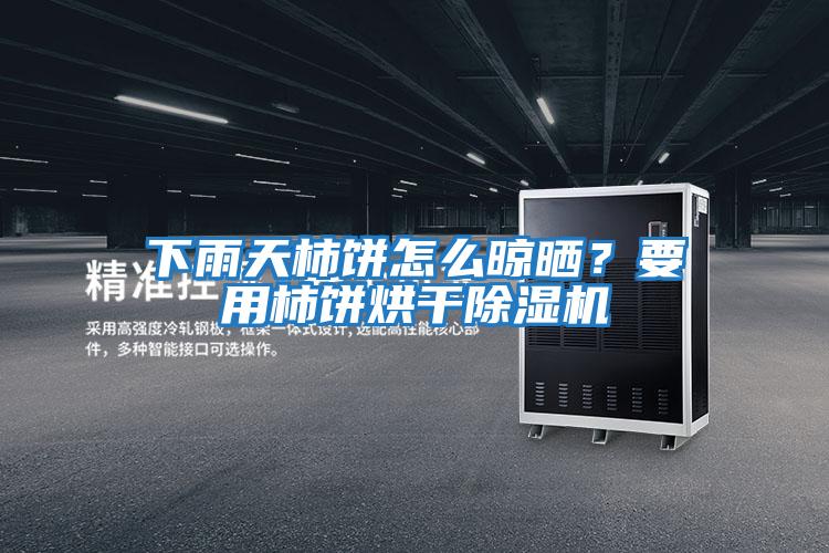 下雨天柿餅怎么晾曬？要用柿餅烘干除濕機