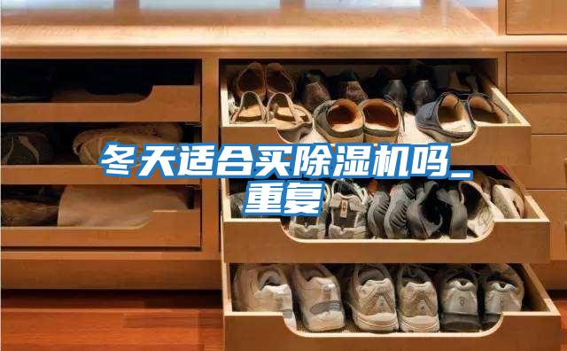 冬天適合買(mǎi)除濕機嗎_重復