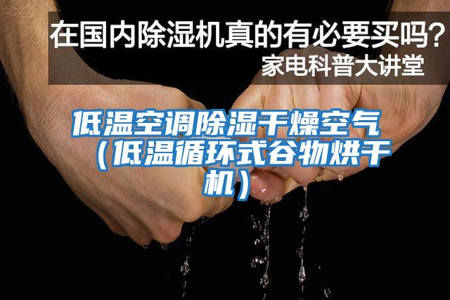 低溫空調除濕干燥空氣（低溫循環(huán)式谷物烘干機）