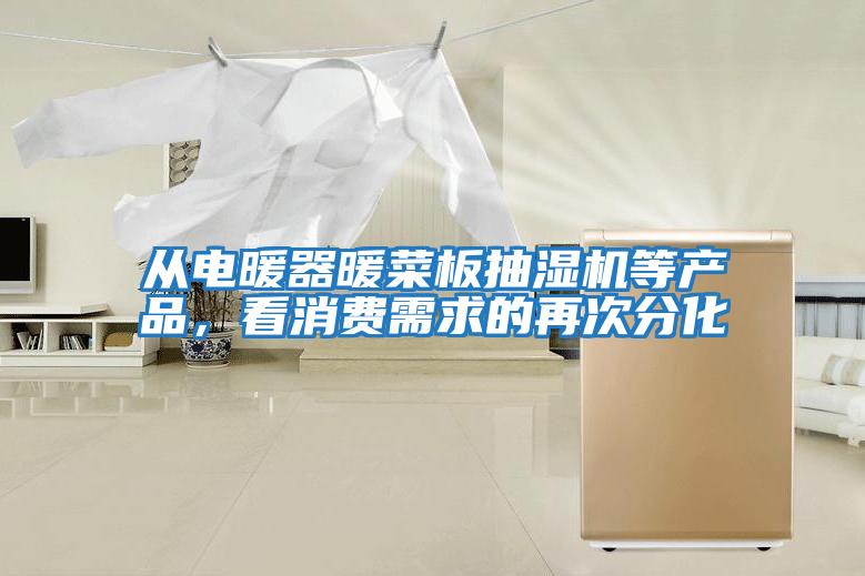 從電暖器暖菜板抽濕機等產(chǎn)品，看消費需求的再次分化