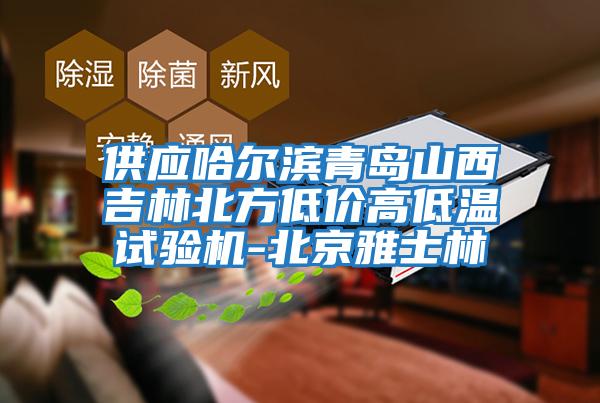 供應哈爾濱青島山西吉林北方低價(jià)高低溫試驗機-北京雅士林