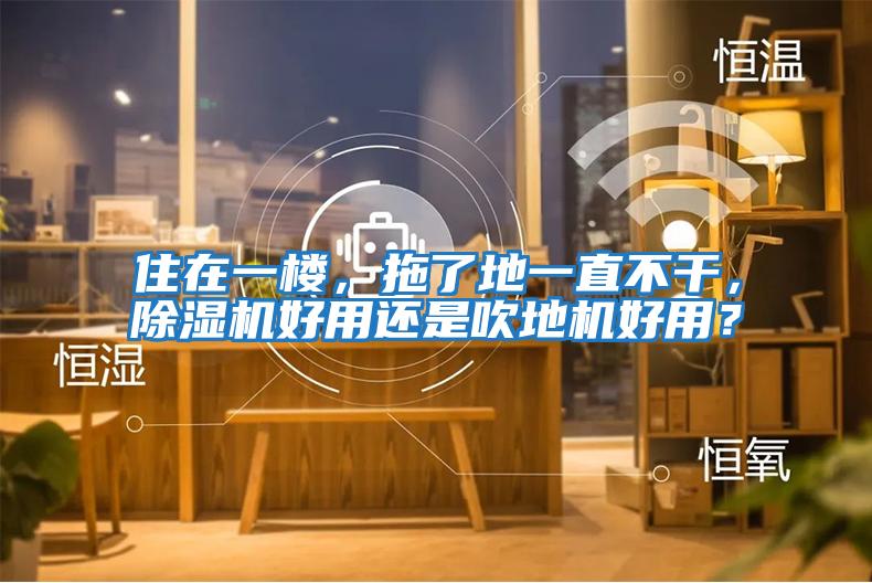 住在一樓，拖了地一直不干，除濕機好用還是吹地機好用？