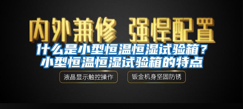 什么是小型恒溫恒濕試驗箱？小型恒溫恒濕試驗箱的特點(diǎn)