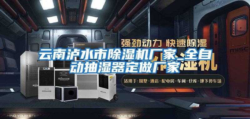 云南瀘水市除濕機廠(chǎng)家_全自動(dòng)抽濕器定做廠(chǎng)家