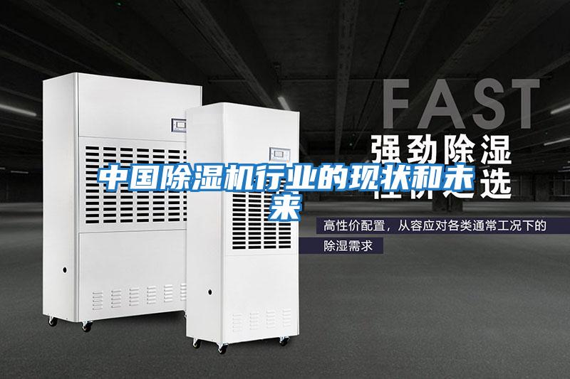 中國除濕機行業(yè)的現狀和未來(lái)