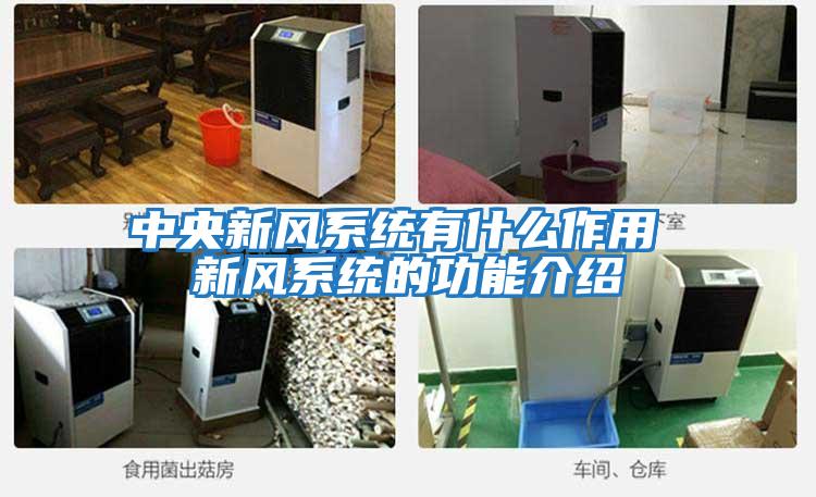 中央新風(fēng)系統有什么作用 新風(fēng)系統的功能介紹