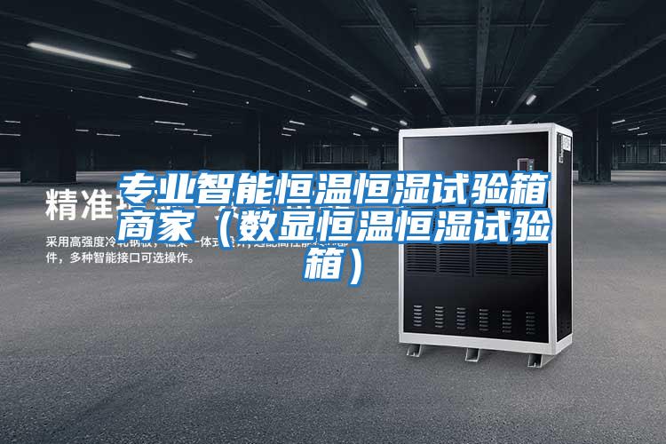 專(zhuān)業(yè)智能恒溫恒濕試驗箱商家（數顯恒溫恒濕試驗箱）