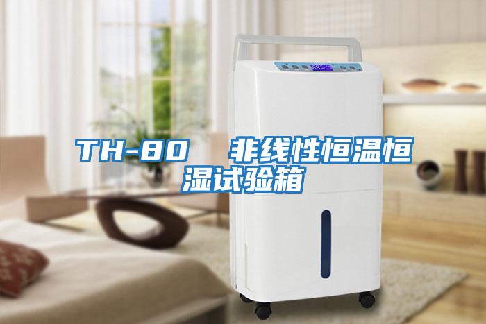 TH-80  非線(xiàn)性恒溫恒濕試驗箱