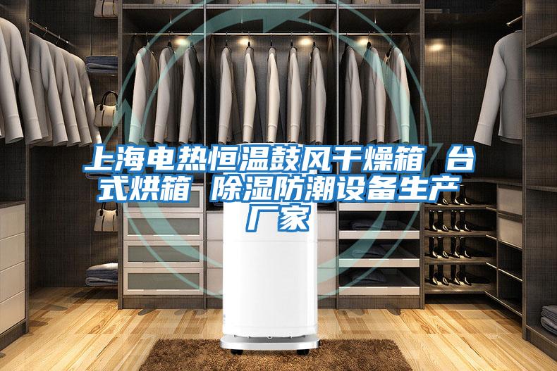 上海電熱恒溫鼓風(fēng)干燥箱 臺式烘箱 除濕防潮設備生產(chǎn)廠(chǎng)家