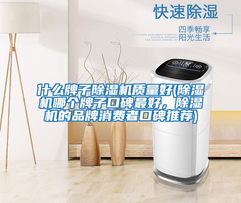 什么牌子除濕機質(zhì)量好(除濕機哪個(gè)牌子口碑最好，除濕機的品牌消費者口碑推薦)