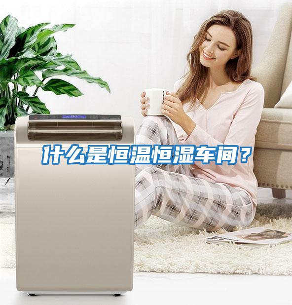 什么是恒溫恒濕車(chē)間？