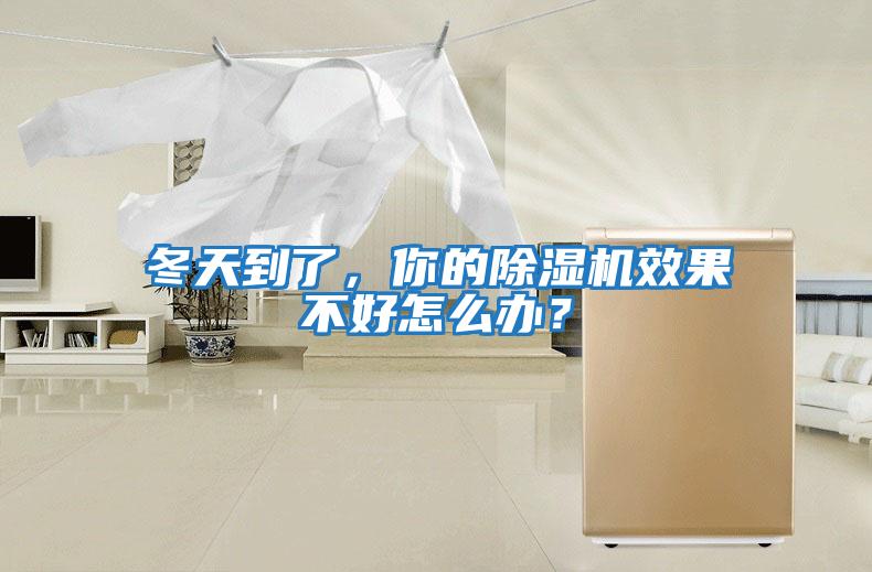 冬天到了，你的除濕機效果不好怎么辦？