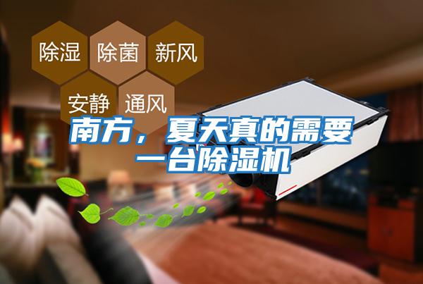 南方，夏天真的需要一臺除濕機