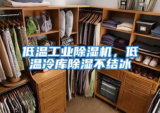 低溫工業(yè)除濕機，低溫冷庫除濕不結冰