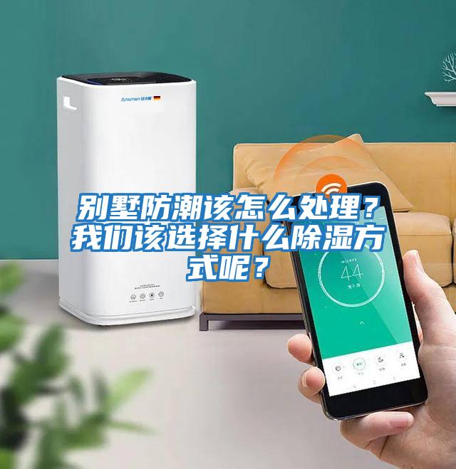 別墅防潮該怎么處理？我們該選擇什么除濕方式呢？