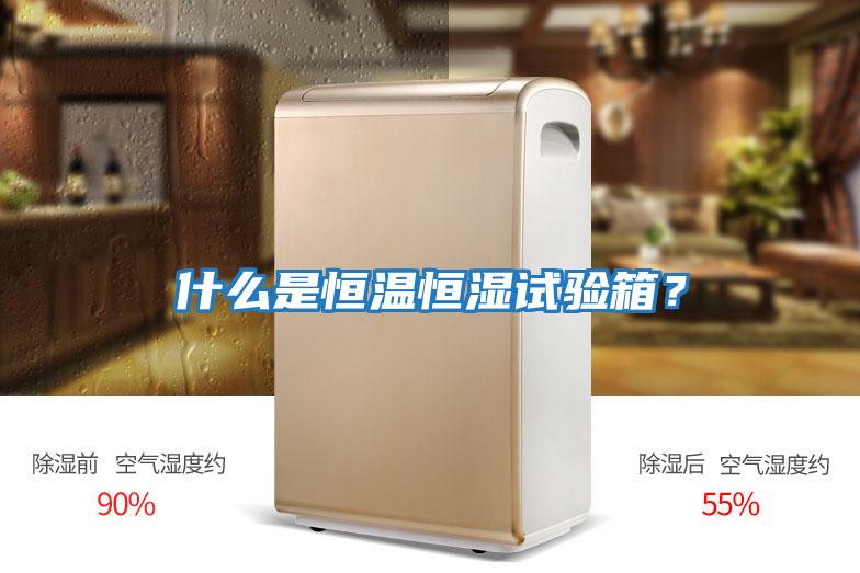 什么是恒溫恒濕試驗箱？