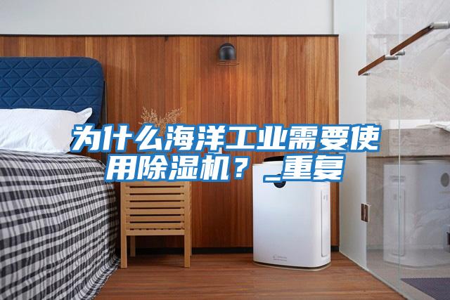 為什么海洋工業(yè)需要使用除濕機？_重復
