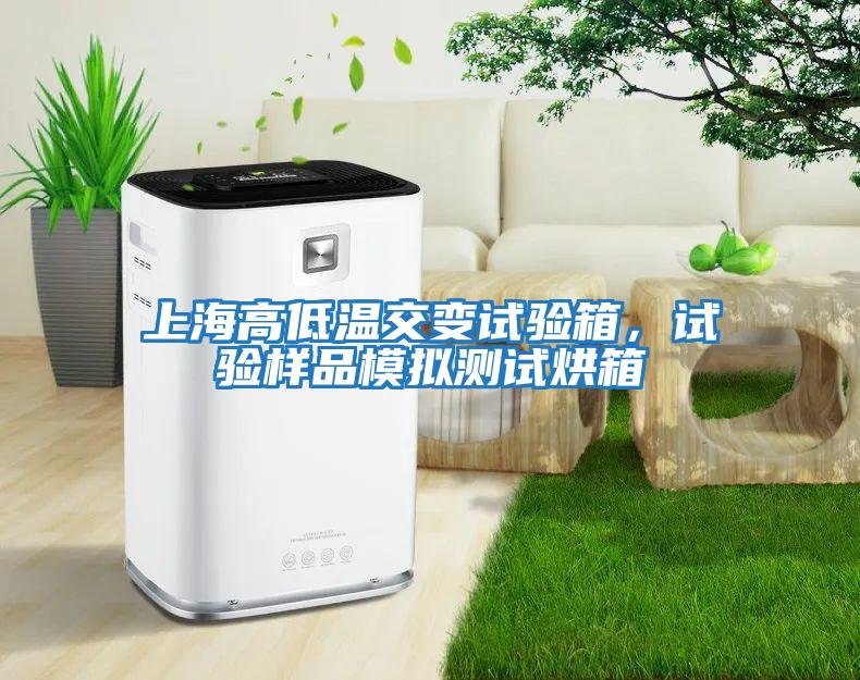上海高低溫交變試驗箱，試驗樣品模擬測試烘箱