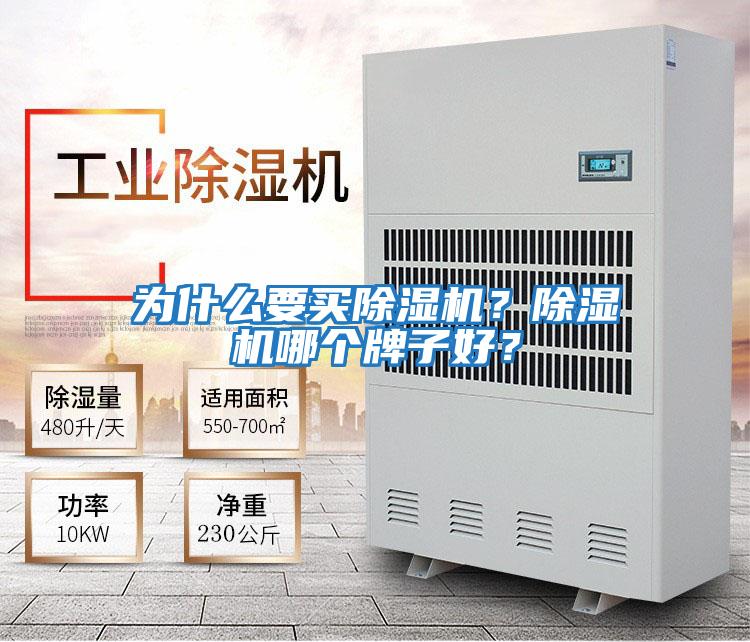 為什么要買(mǎi)除濕機？除濕機哪個(gè)牌子好？