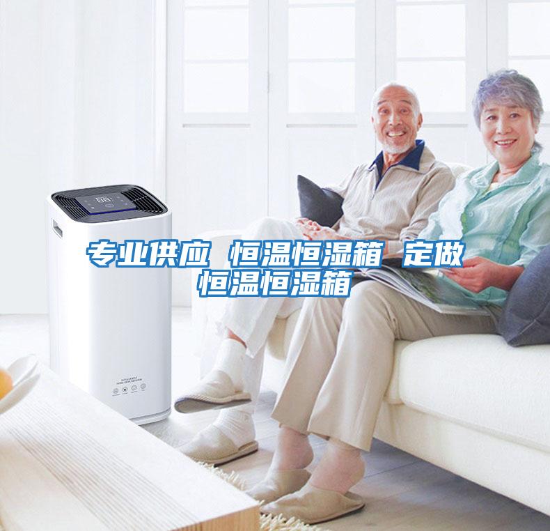 專(zhuān)業(yè)供應 恒溫恒濕箱 定做恒溫恒濕箱